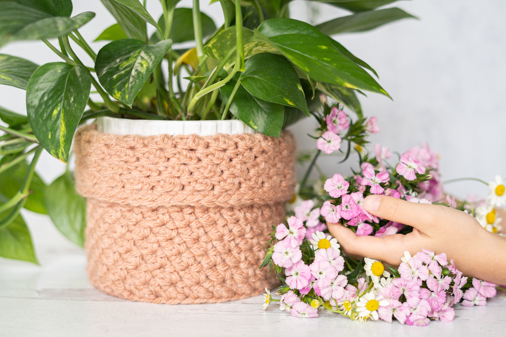 Textured Houseplant Cozy