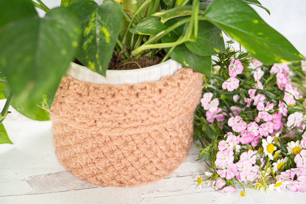 Textured Houseplant Cozy