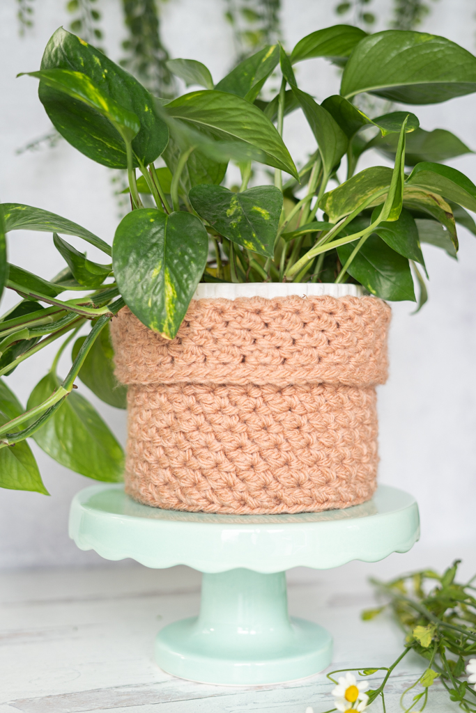 Textured Houseplant Cozy