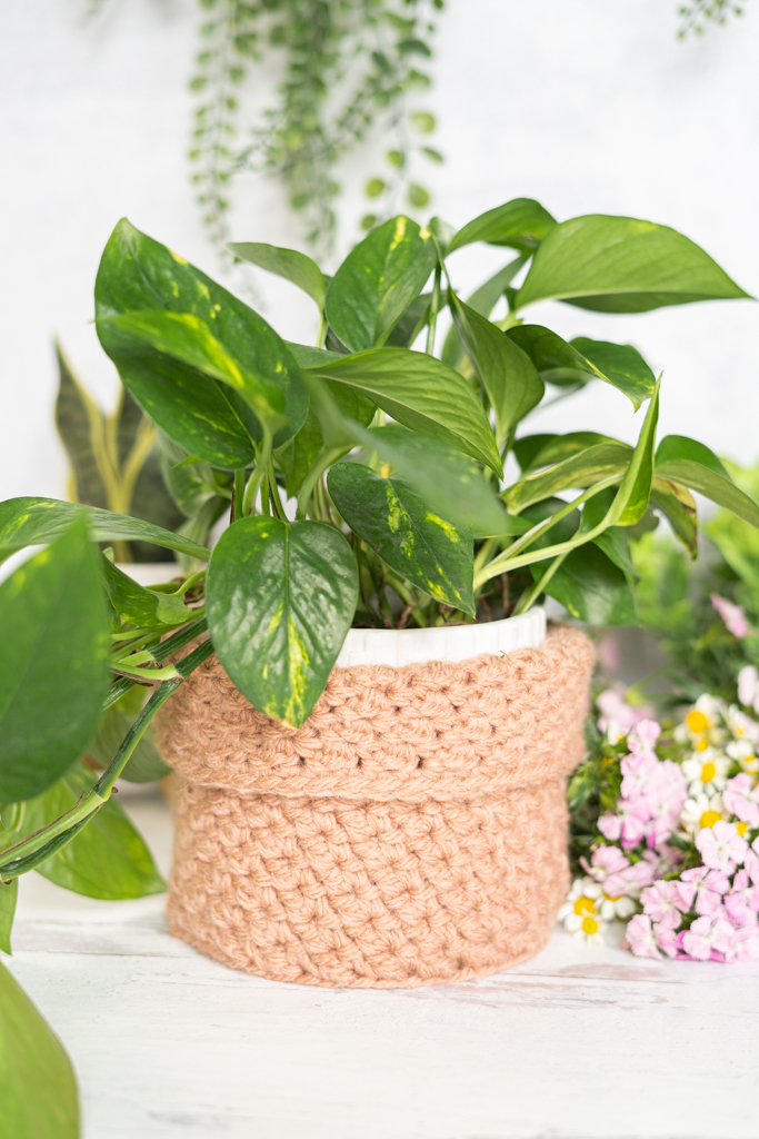 Textured Houseplant Cozy