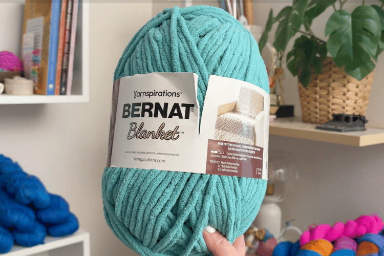 image of a woman's hand holding up a skein of bernat blanket yarn